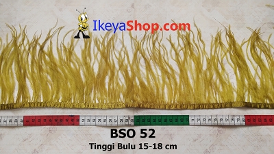 BSO 52  large2